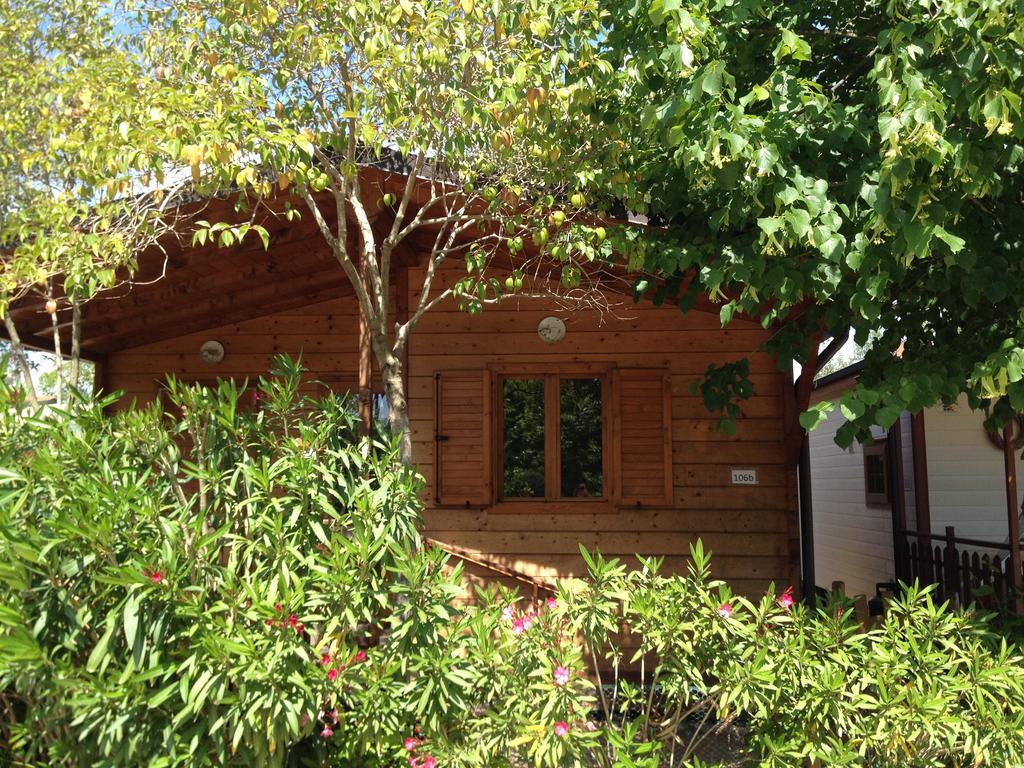 Camping Paradiso เวียเรจโจ ห้อง รูปภาพ